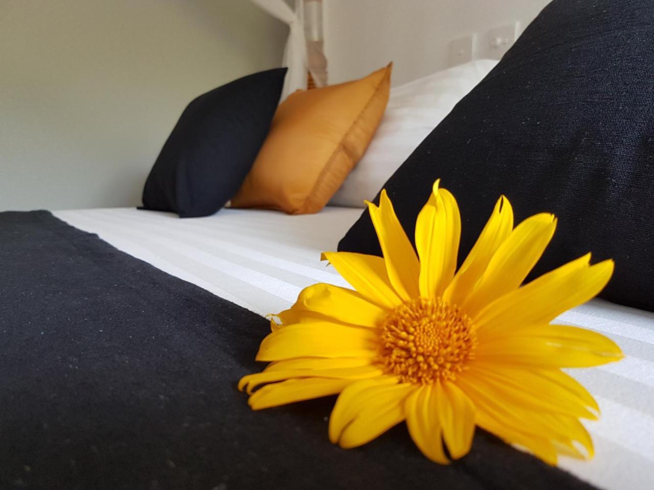 White Villa Beach Resort ミリッサ エクステリア 写真