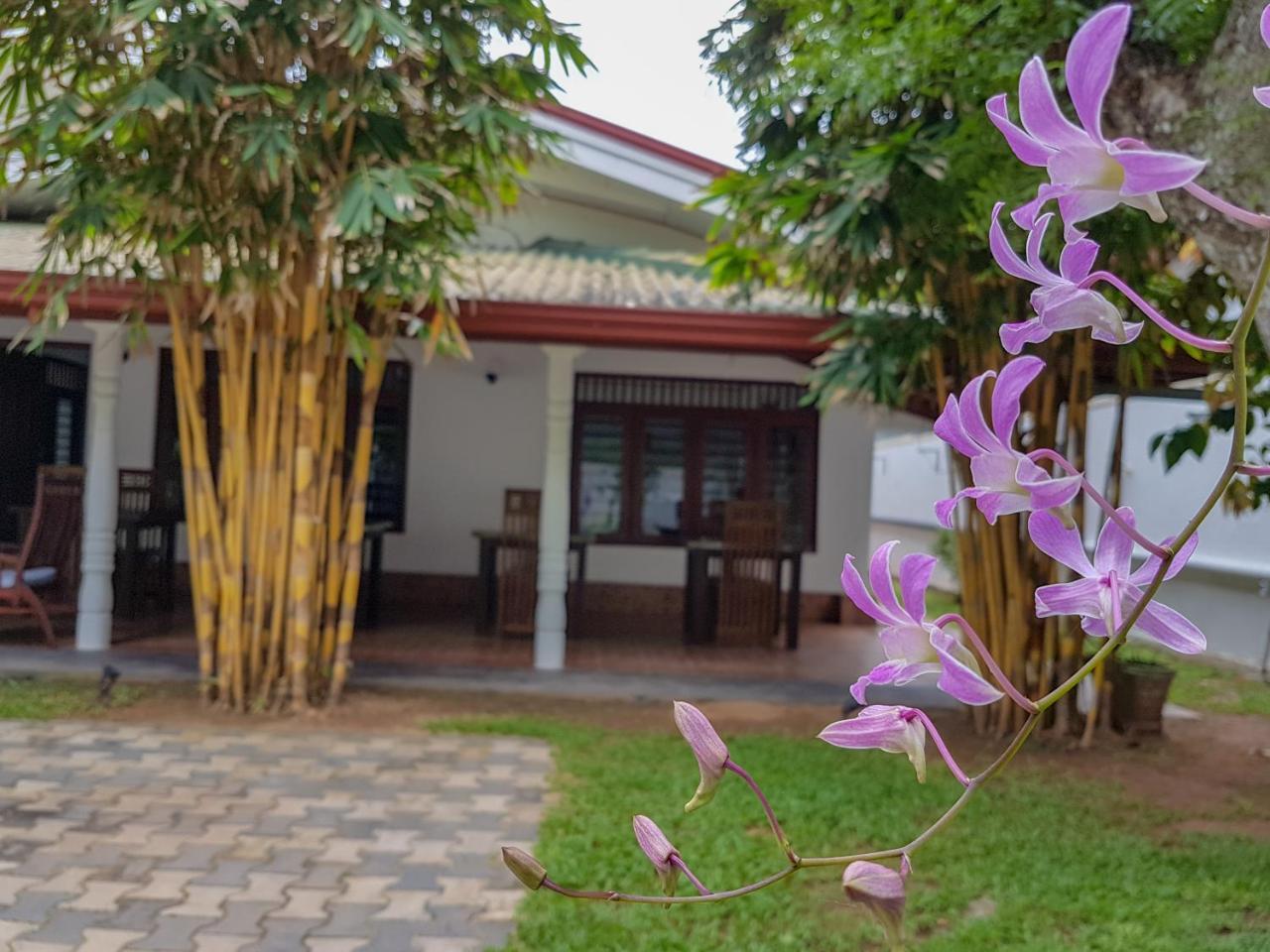 White Villa Beach Resort ミリッサ エクステリア 写真